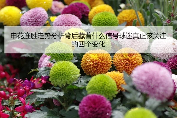 img_1780373725280_63_1_945.jpg